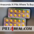 Anaconda Xl Pills Where To Buy new10